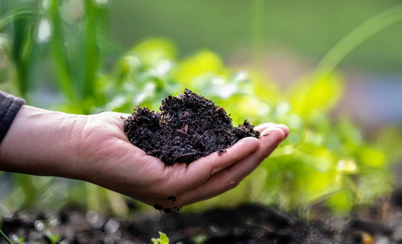 Microbes have a surprising impact on climate change