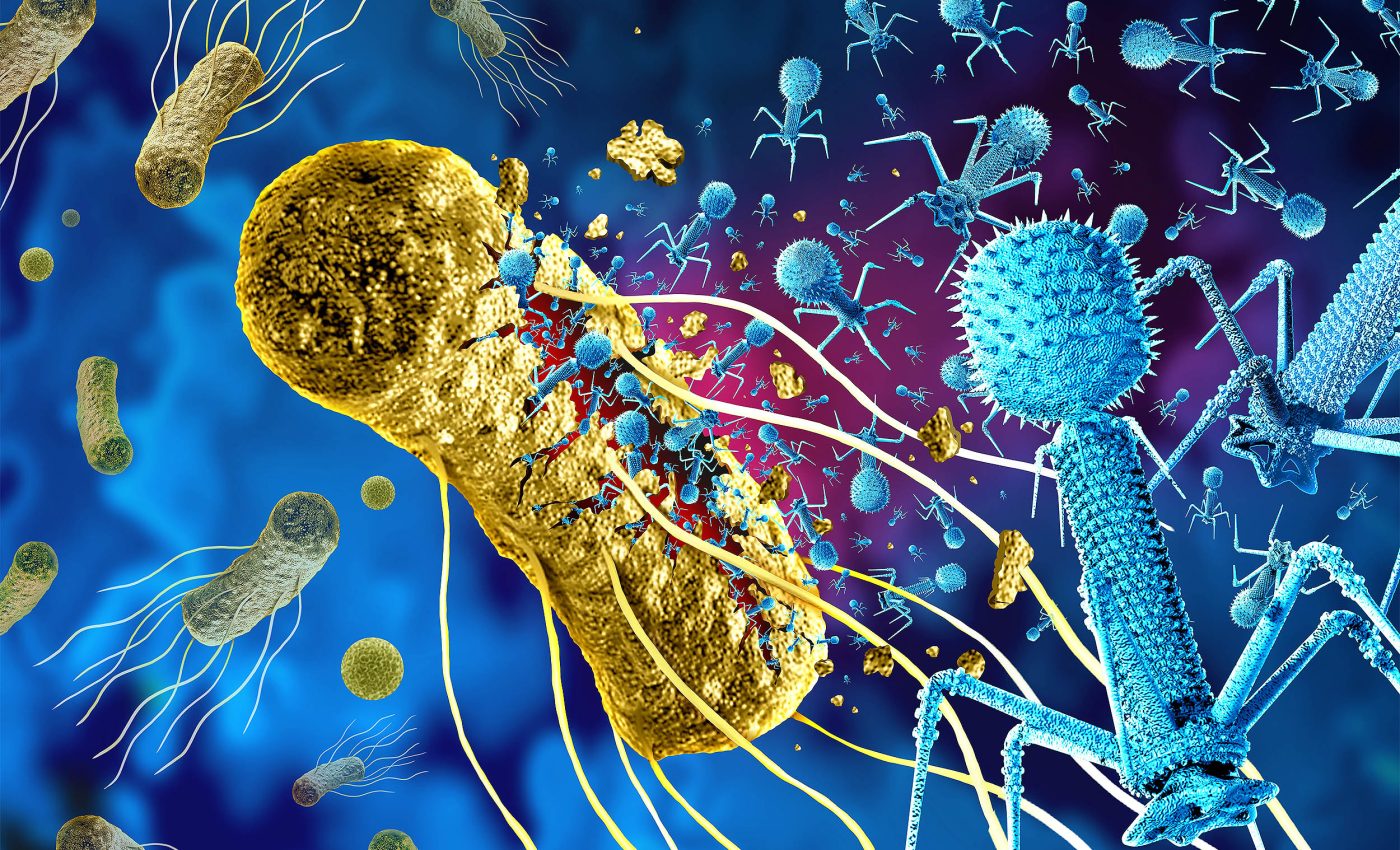 Phagosome: A crucial and overlooked player in our microbiome