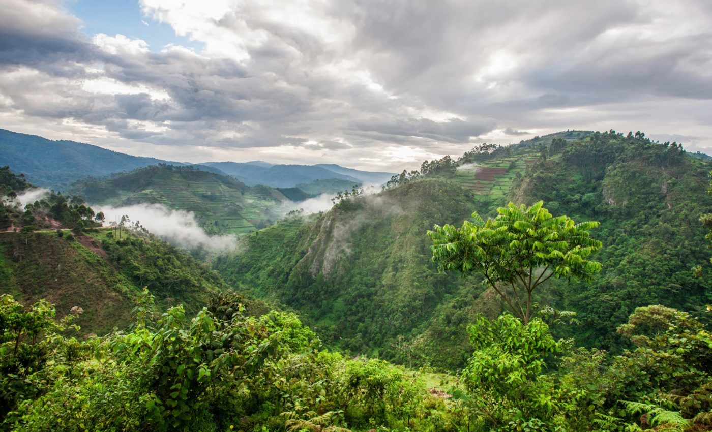 Cloud level rise: The hidden threat of deforestation
