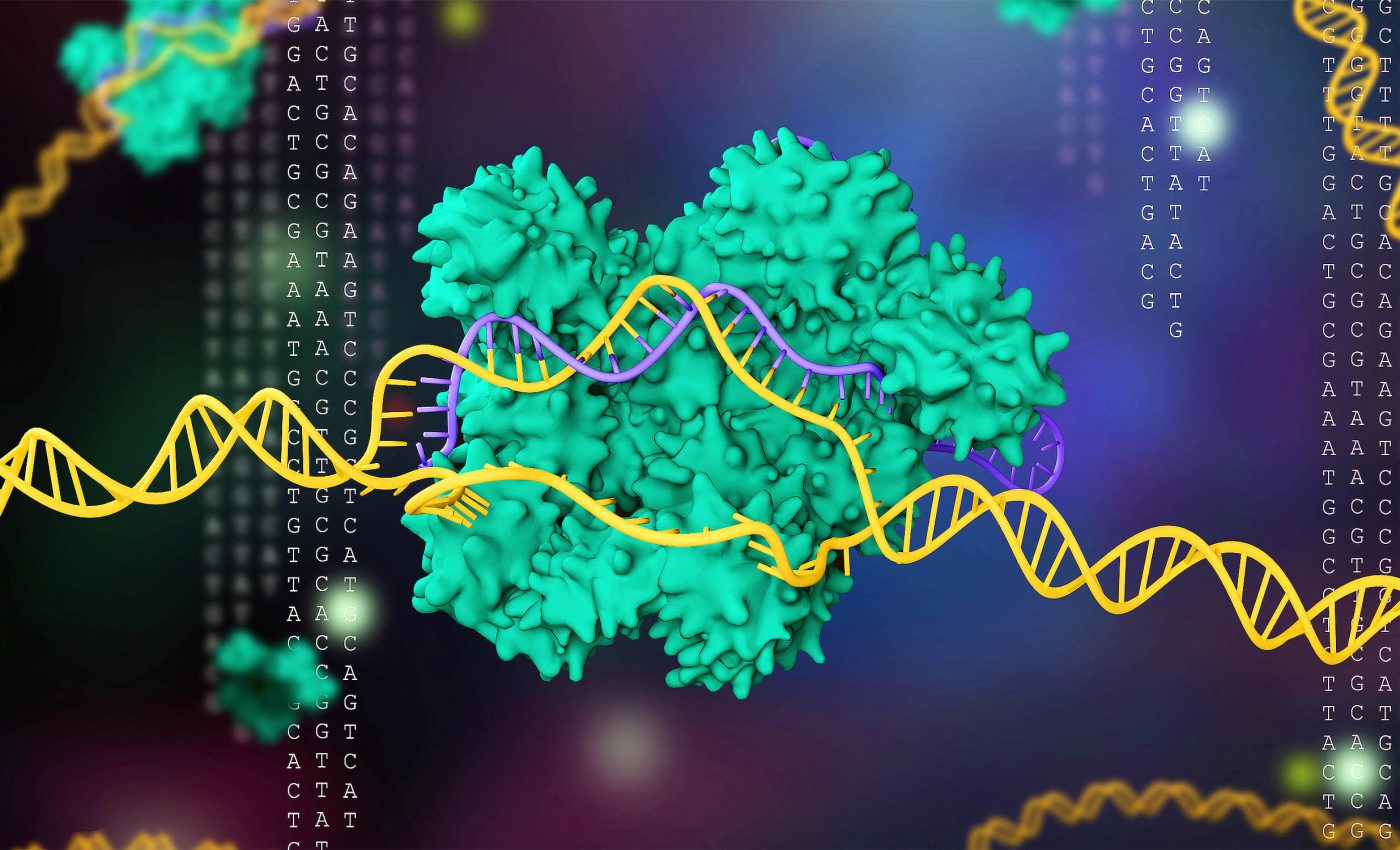 Scientists transfer longevity gene in hopes of extending human lifespan