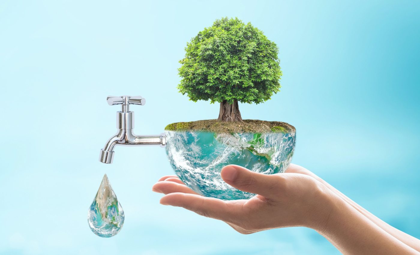 Forests play a crucial role in clean drinking water