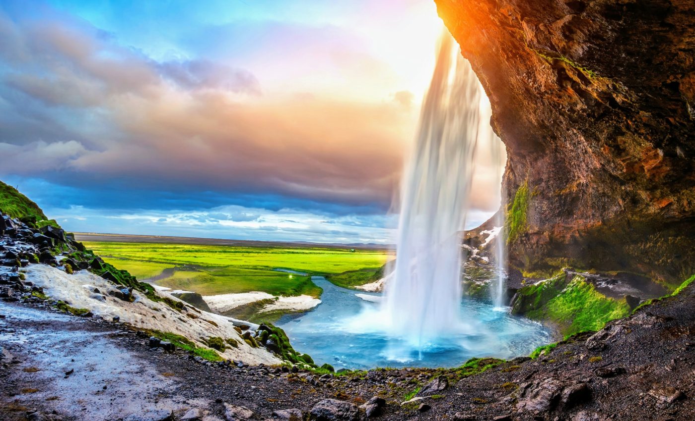 Springs are crucial habitats that are overlooked in conservation efforts