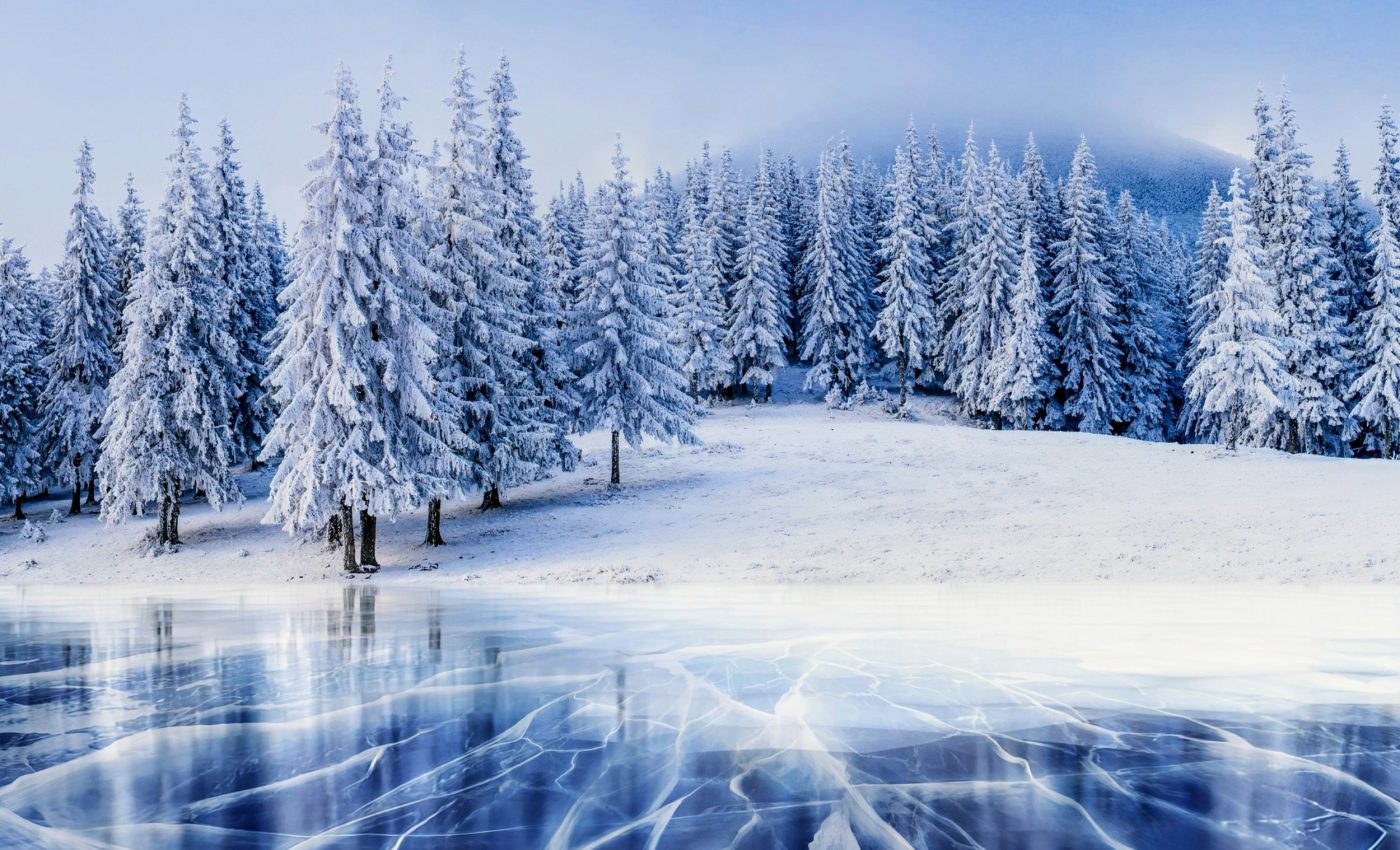 Early hunter-gatherers were nearly wiped out by climate change