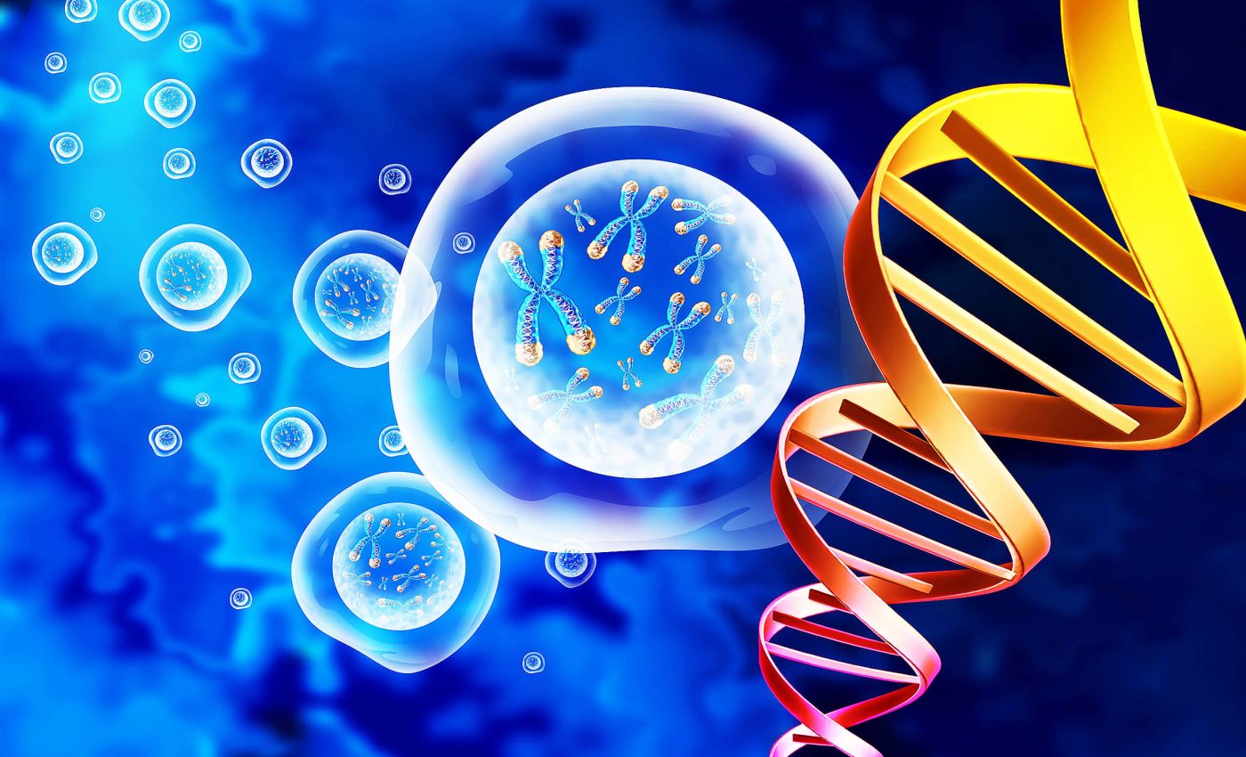 Human bodies begin breaking down at two very precise ages