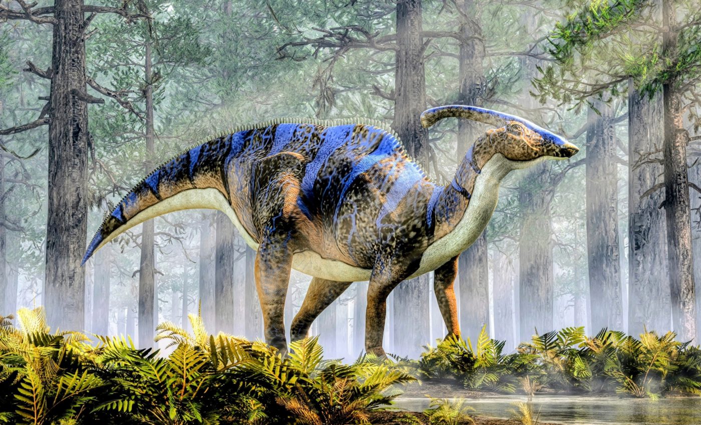Some plant-eating dinosaurs chewed through thousands of teeth