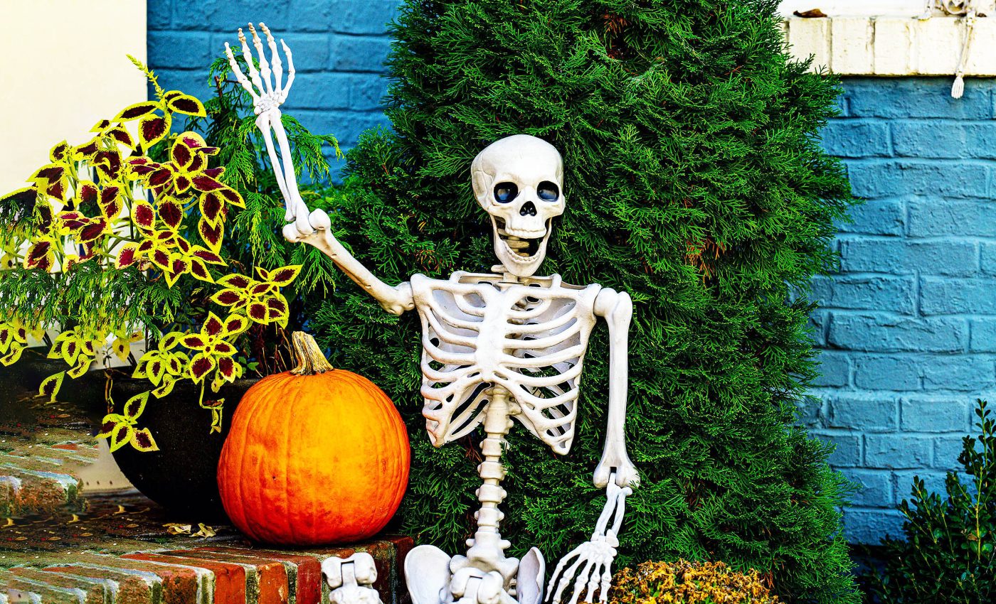 Fear of death is the key driver of early Halloween shopping