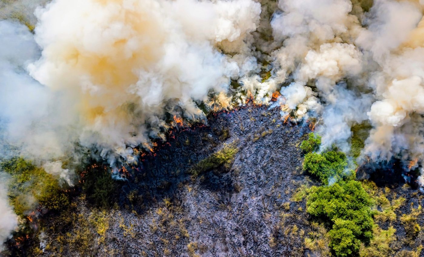 Ultrafine particles in wildfire smoke change weather patterns