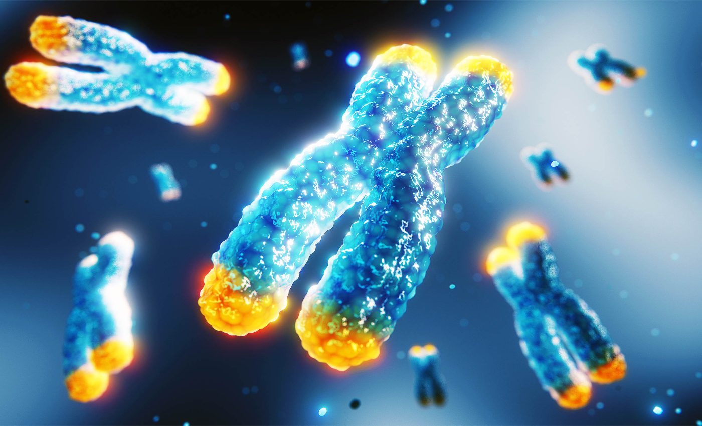 Human bodies undergo very rapid change at two very specific ages