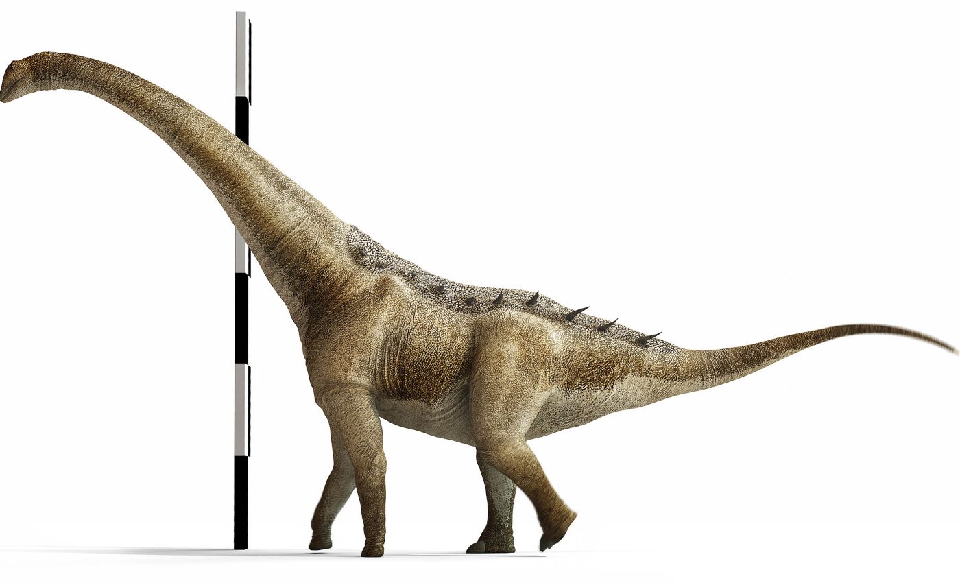 New sauropod discovery fills in dinosaur history gaps