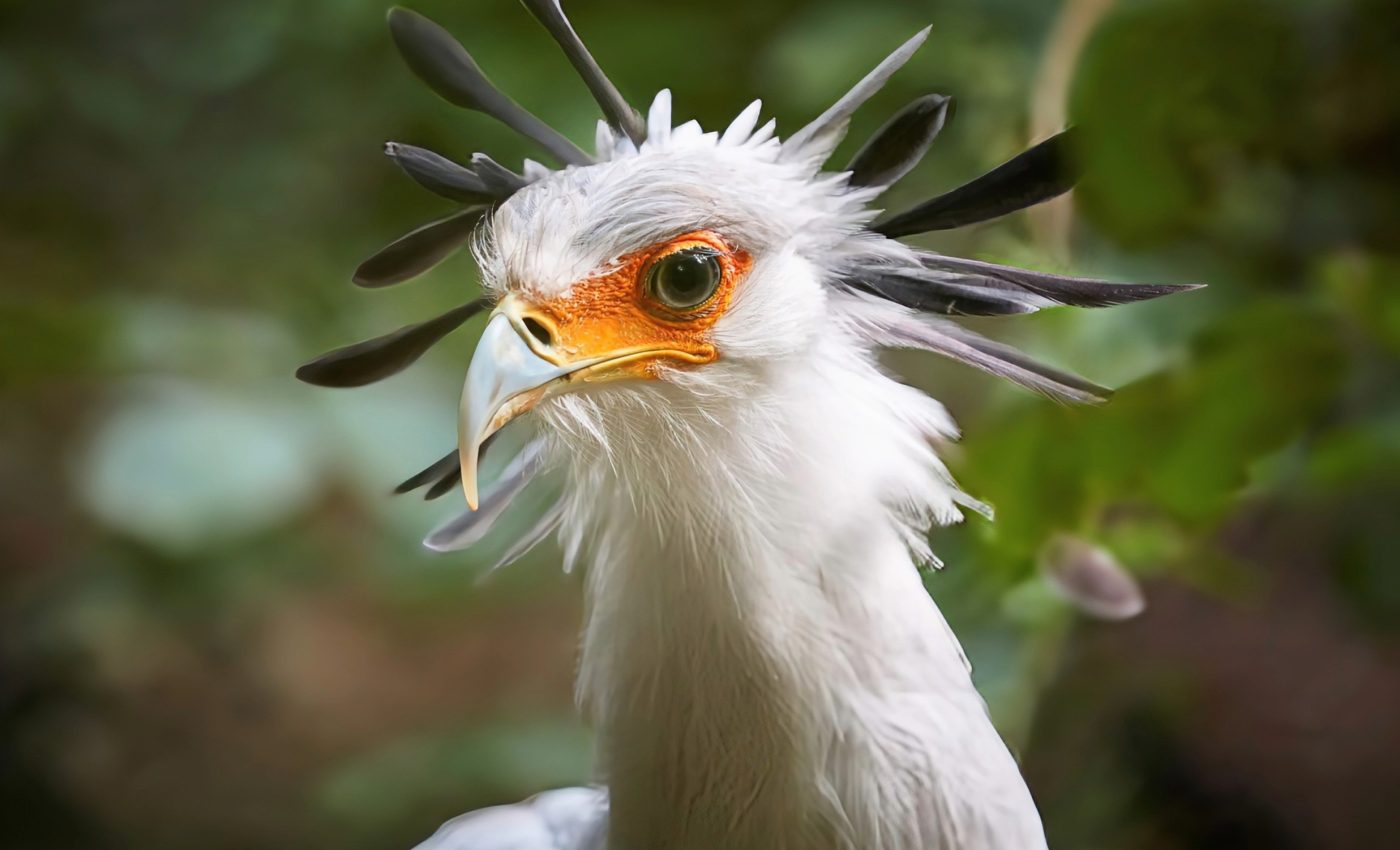 Protecting just 0.7% of land can save many unique species