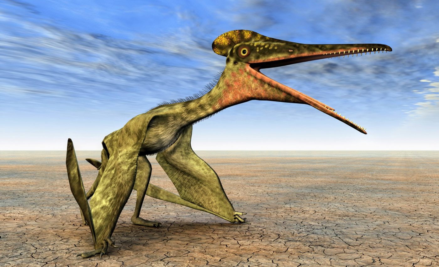 Cracking the code of pterosaur flight: Soaring vs. flapping