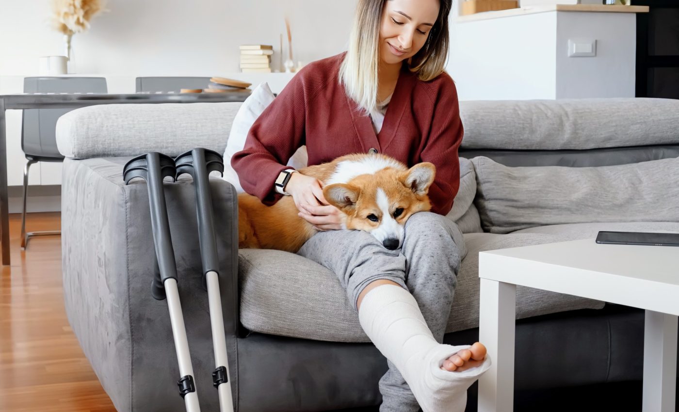 Interacting with dogs can ease physical pain