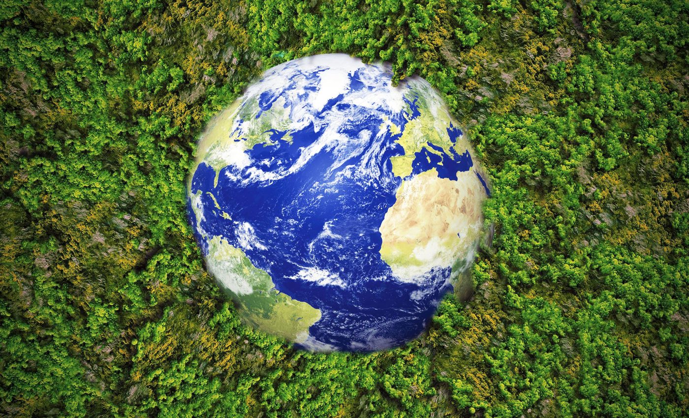 How cities and businesses can help save Earth and its resources