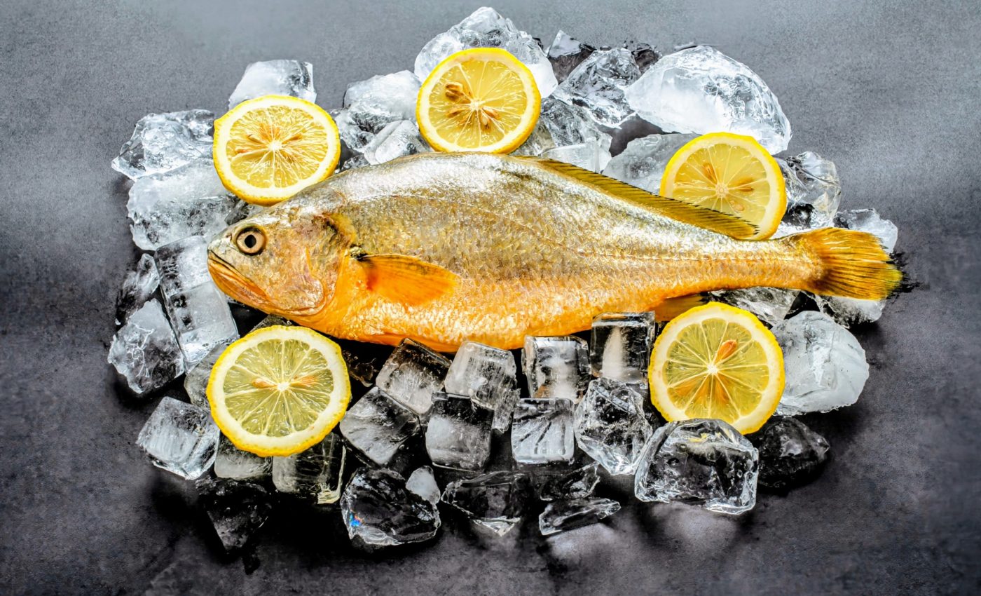 Seafood spoilage: Hidden dangers in the cold chain