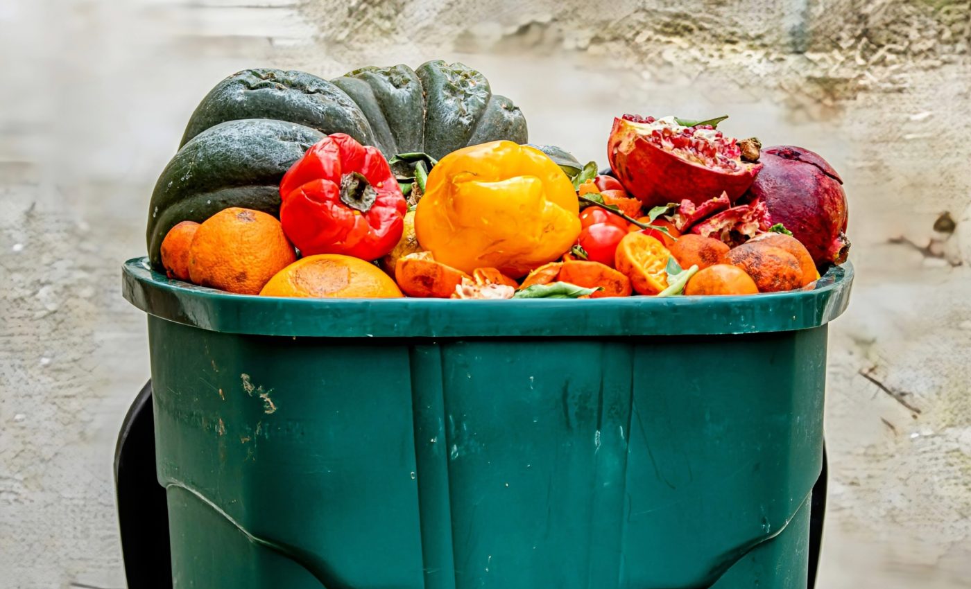 Food waste bans are ineffective in reducing landfill waste