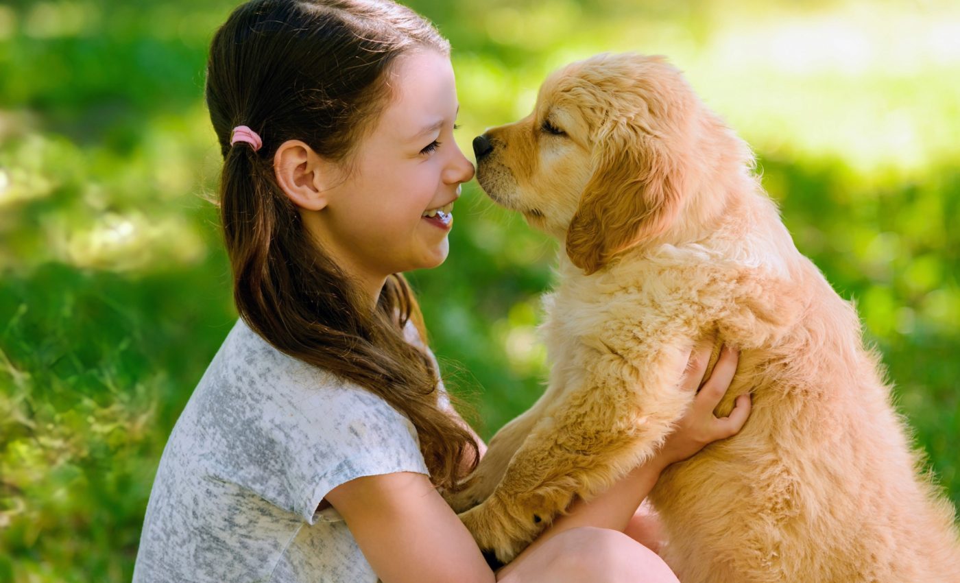 Dog and human brains sync up during eye contact