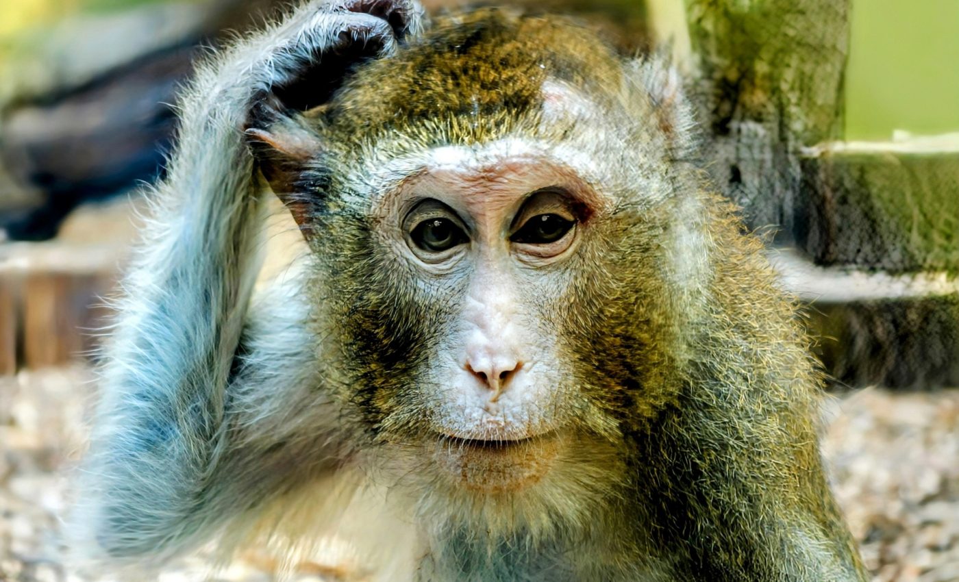 Optimal decision-making is a balance of experience and knowledge