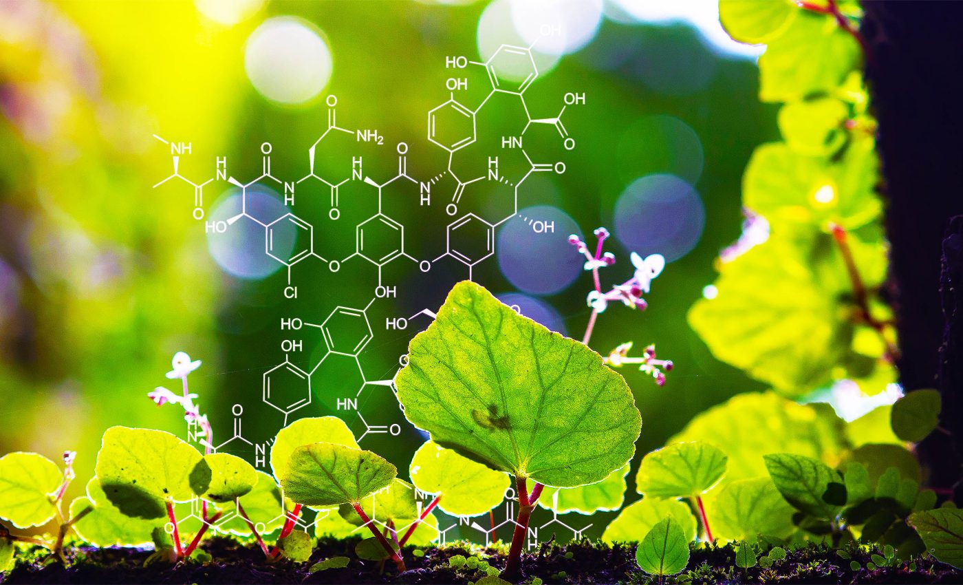 Plants captured on video communicating with each other for the first time ever