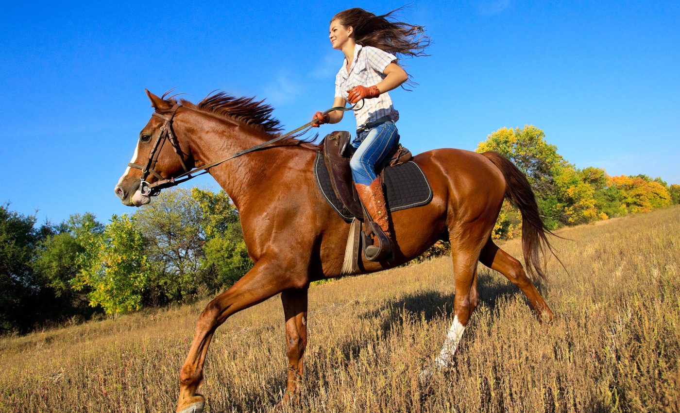 Horseback riding changes human skeletons, especially the hips