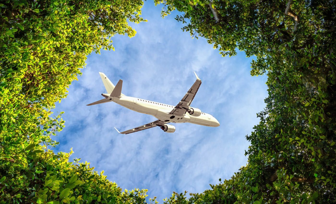 Plant-based jet fuel could revolutionize aviation