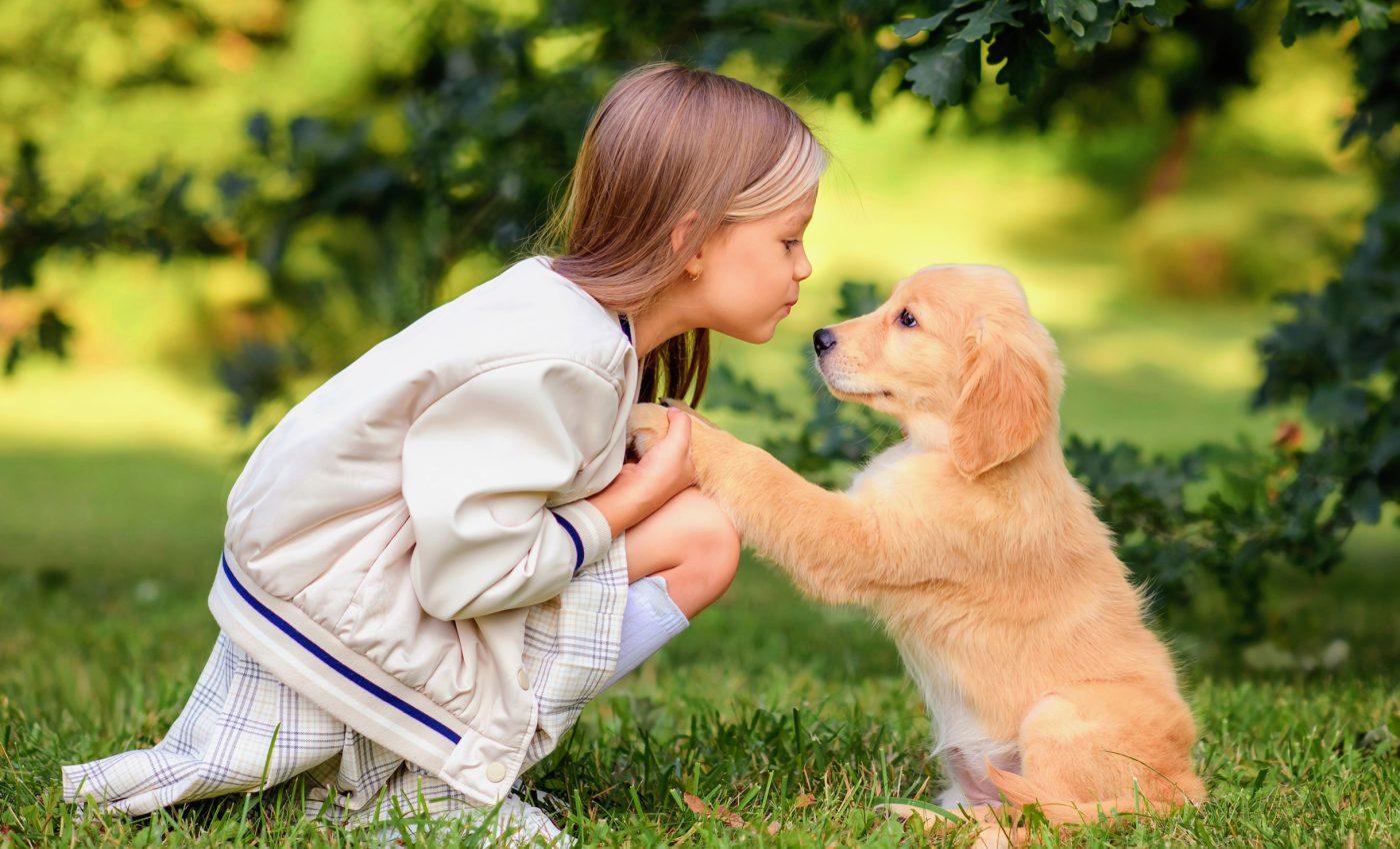 Children get a rush of the 'love hormone' by playing with dogs