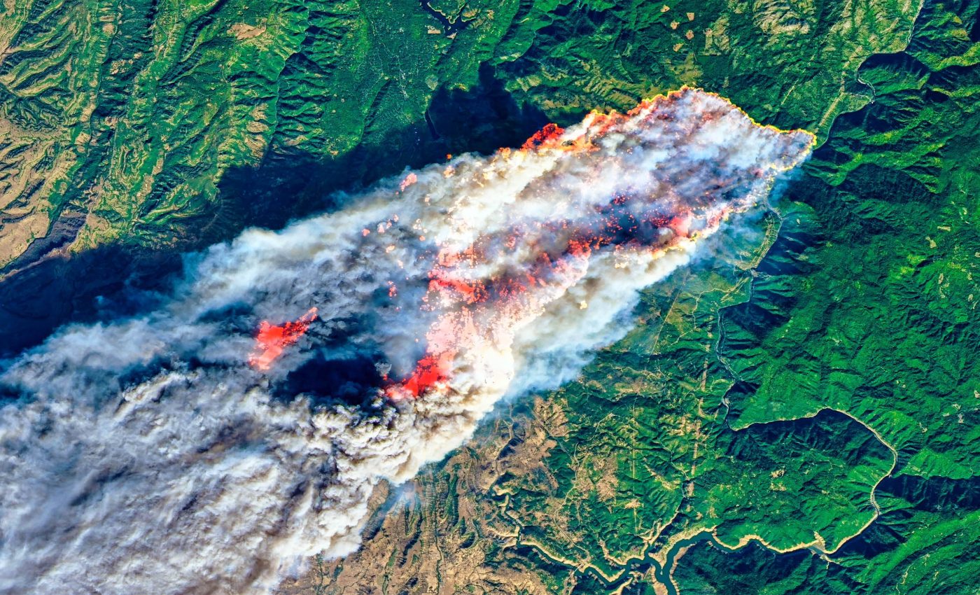 Intense forest fires leave scorched earth, heating the planet faster