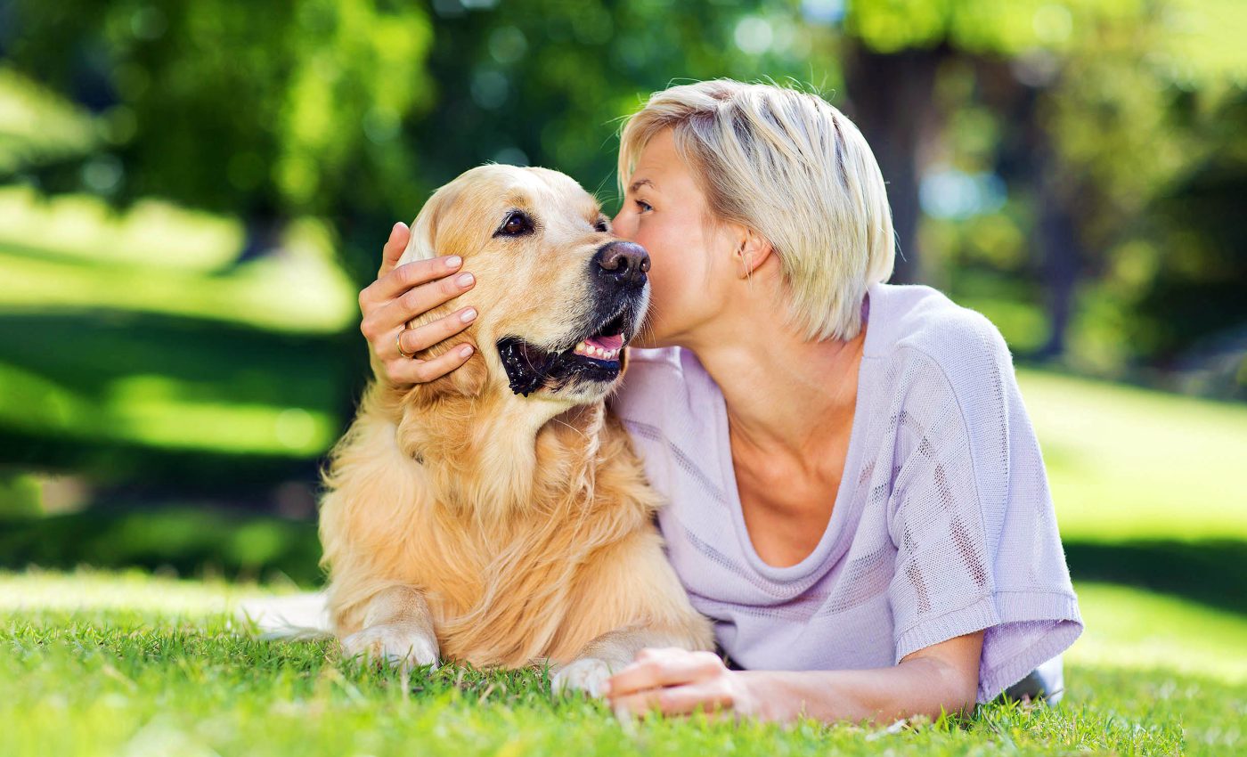 Talking slower helps dogs understand what humans are saying