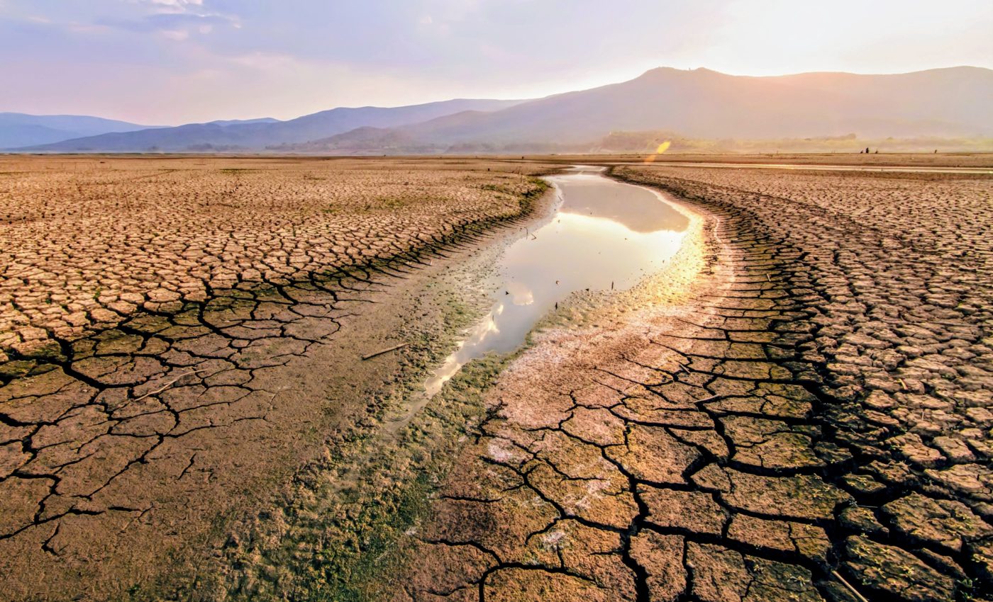 Global drought has caused crisis levels of food and water scarcity