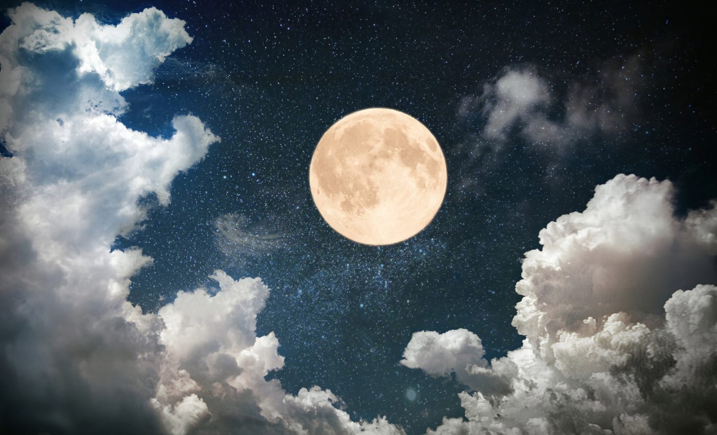 Wildlife-vehicle collisions surge during full moon nights