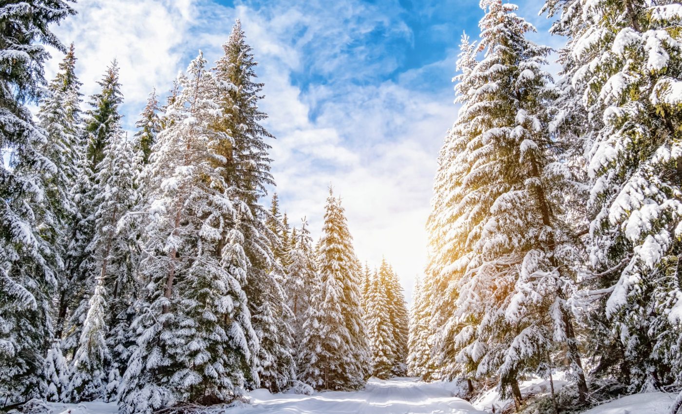 Winter of extremes: How will La Niña affect weather in the U.S.?