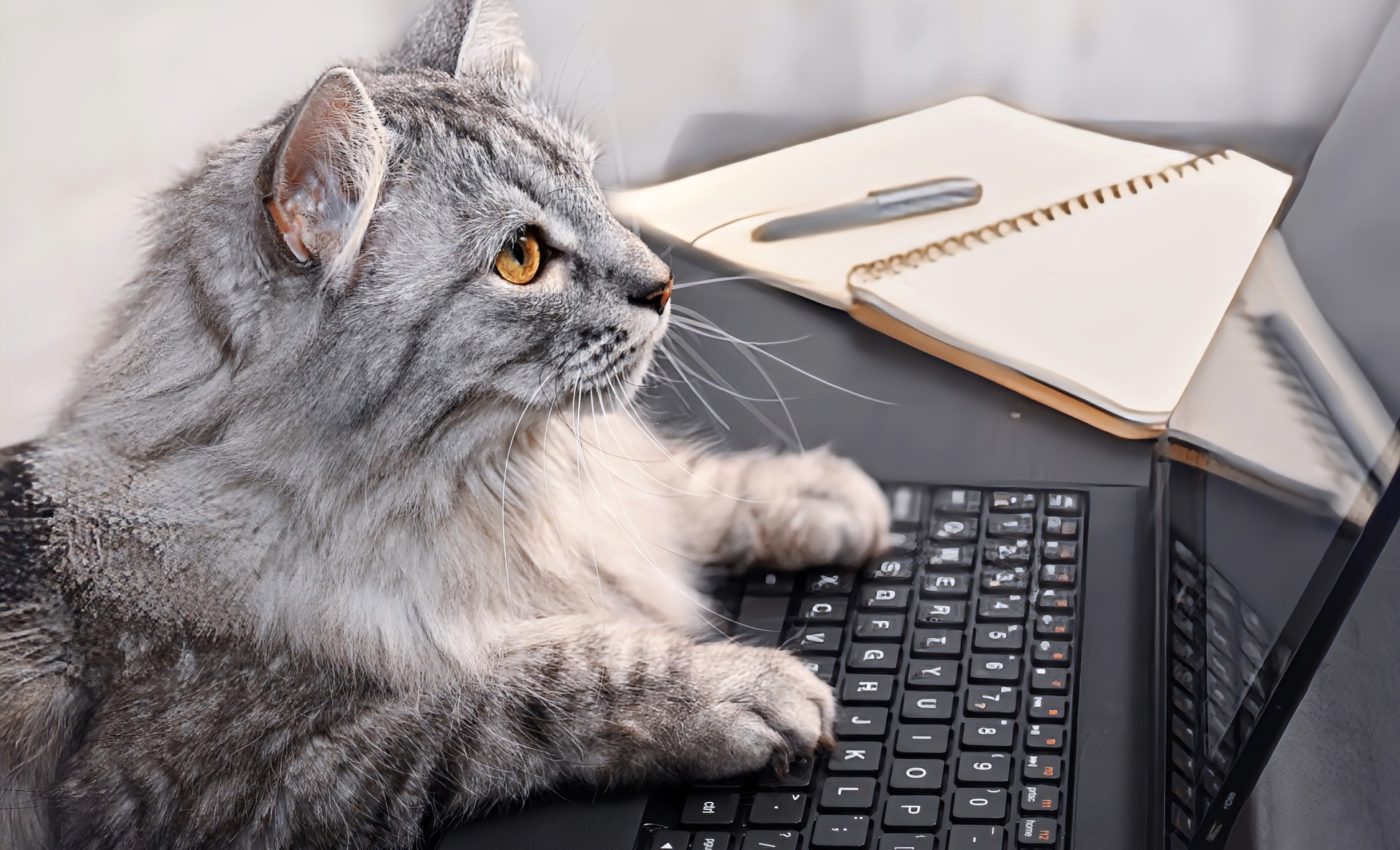 Cats can associate human words with images