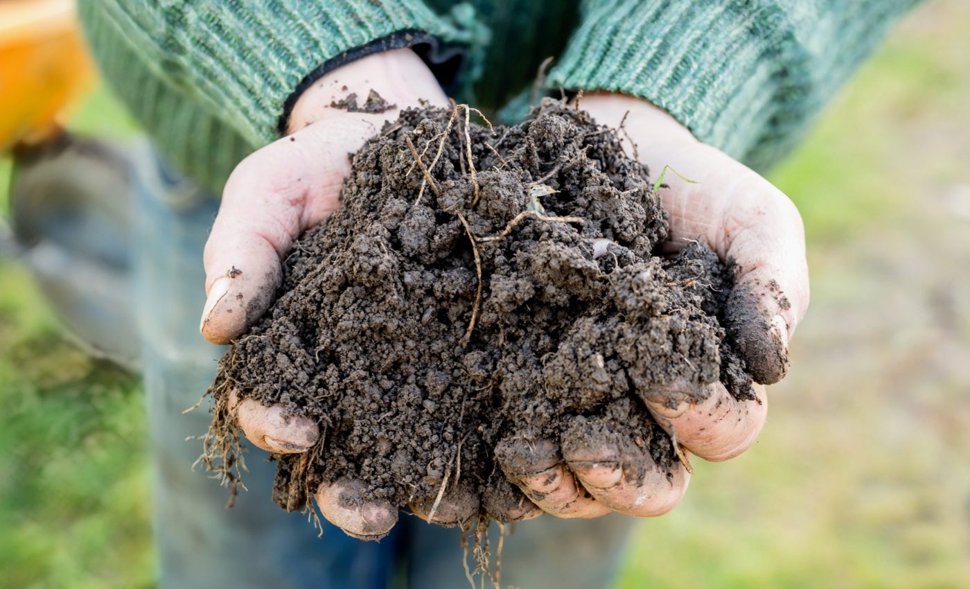 Microbes have emerged as major source of methane emissions