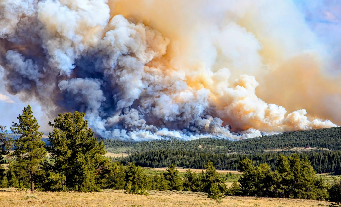 'Fast' wildfires are gaining even more speed
