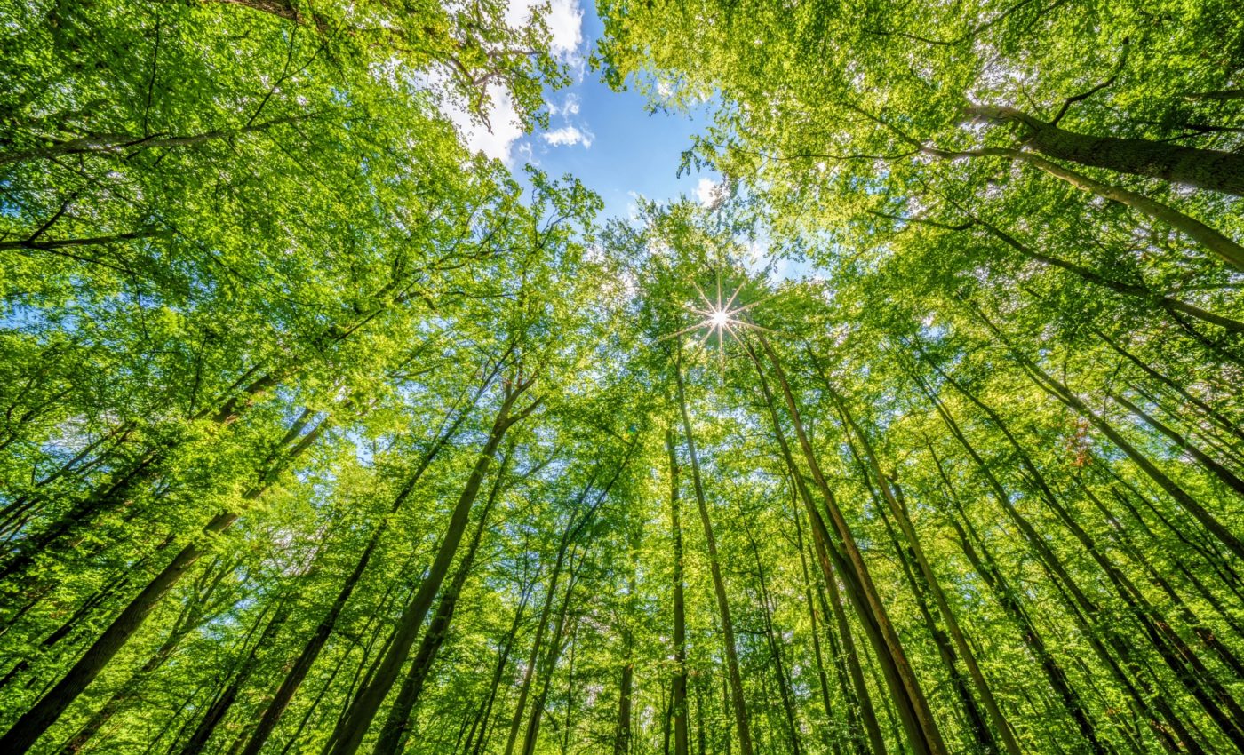 The foundation of life is at risk from climate change