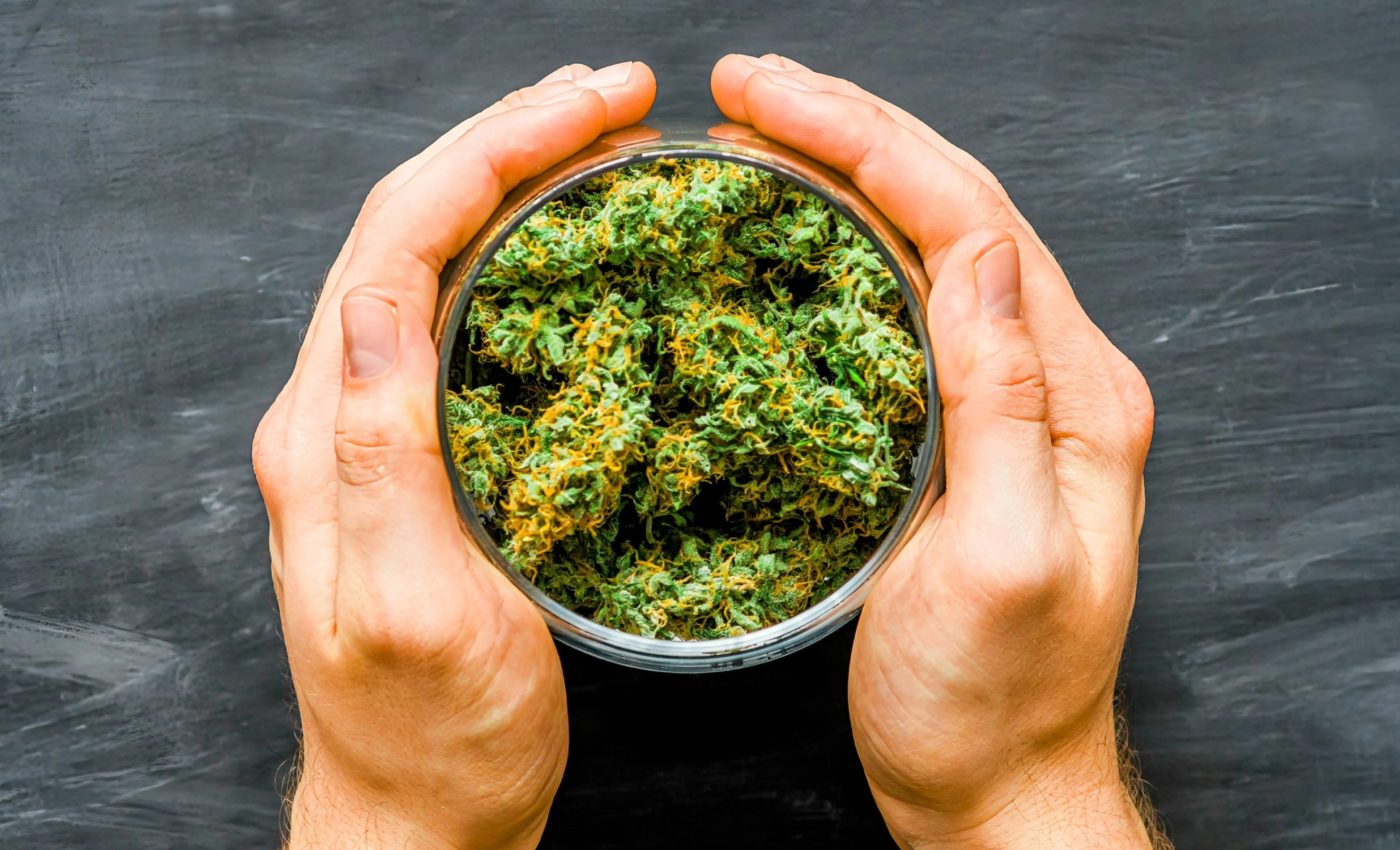 How does cannabis use affect brain structure?