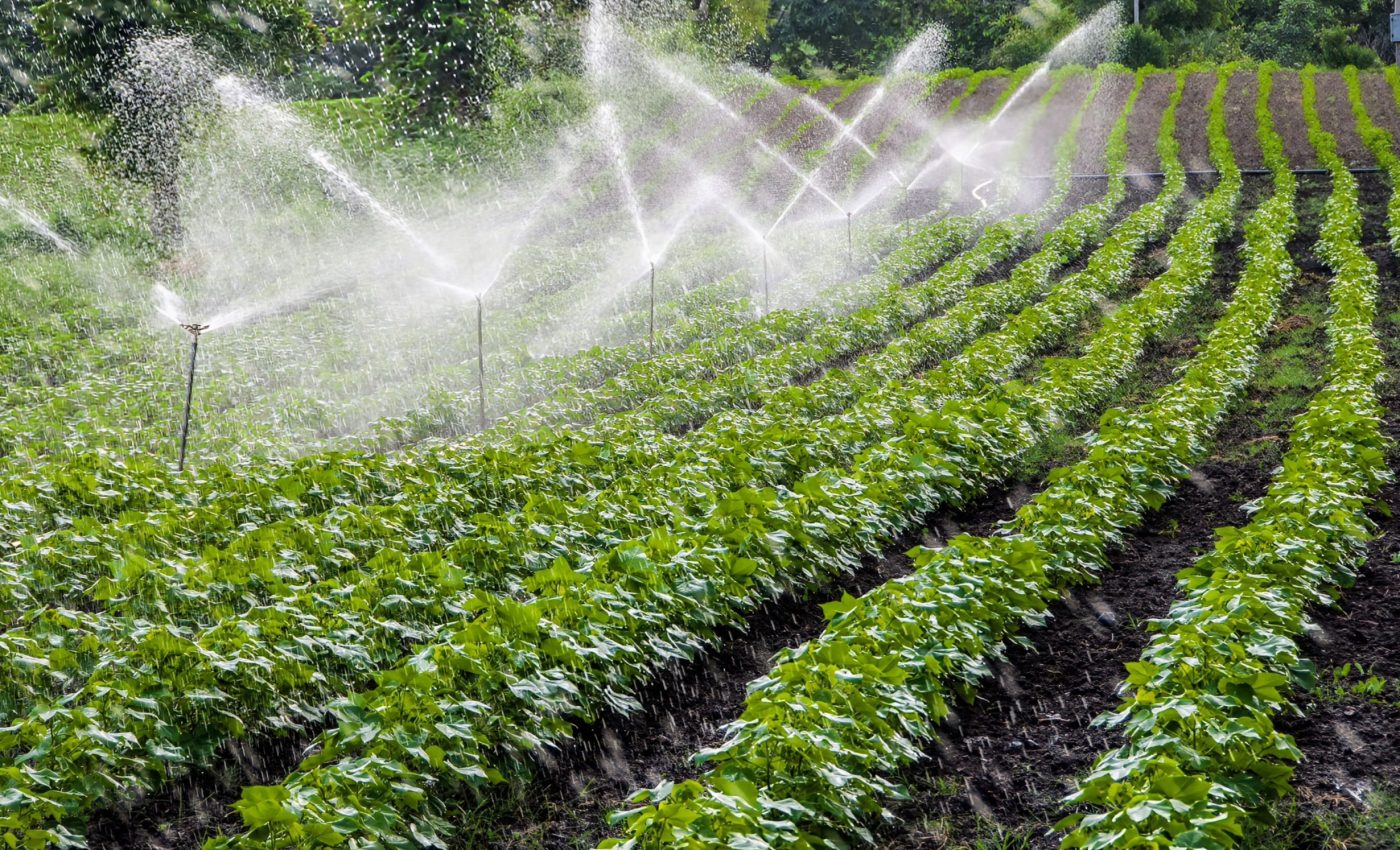 Trillions of cubic meters of water is used to grow crops each year