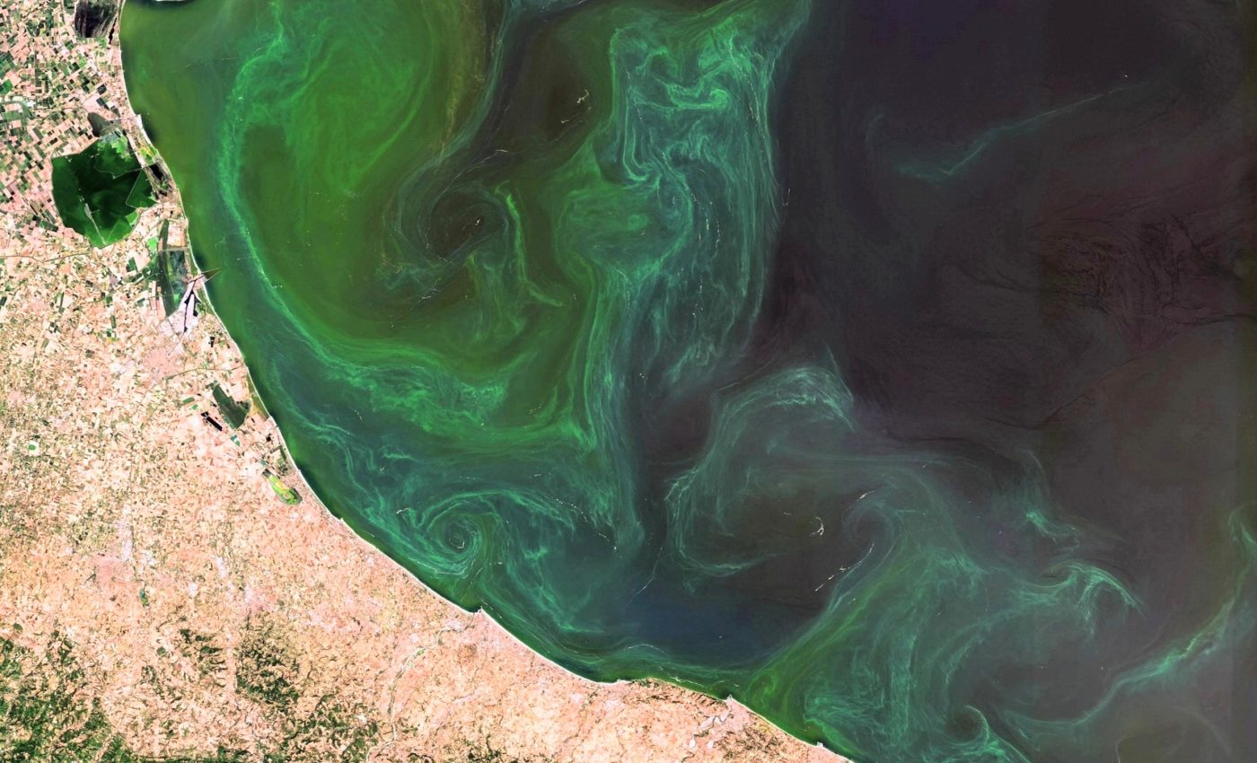 How marine heatwaves impact ocean health