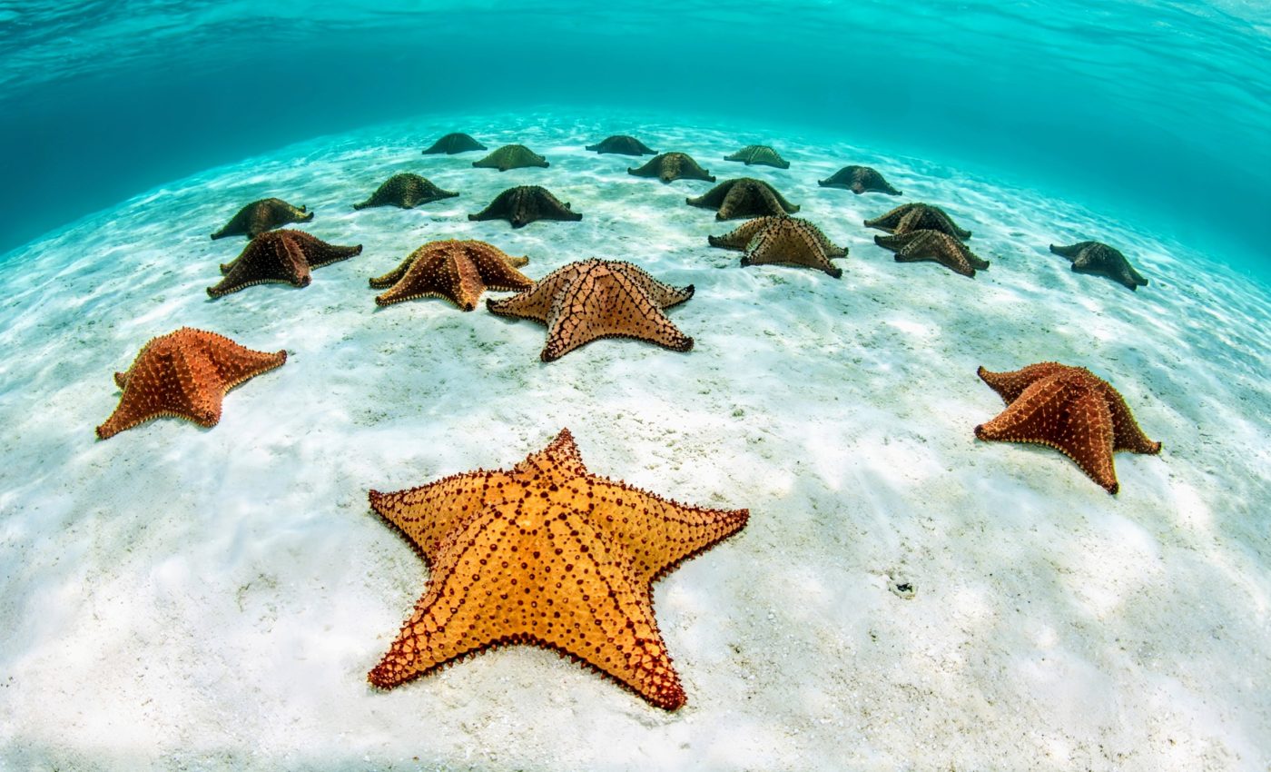 How marine protected areas boost human health