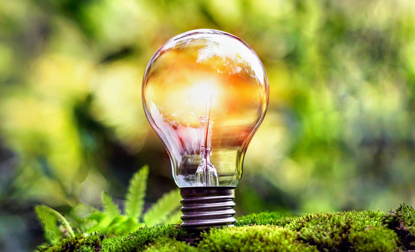 Nature-based solutions can transform local economies