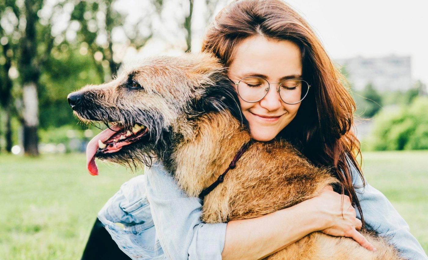 Dogs can 'feel' our emotions through our heart rate