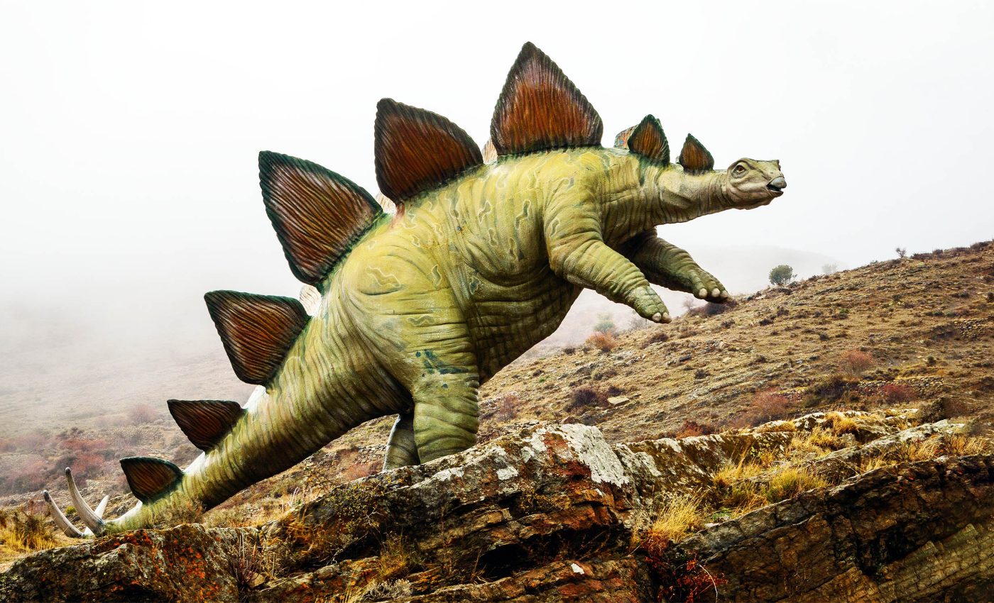 Rare Triassic fossil discovery may rewrite the history of dinosaurs
