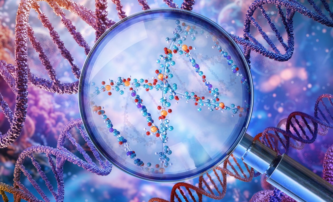 How does genome size impact evolutionary success?