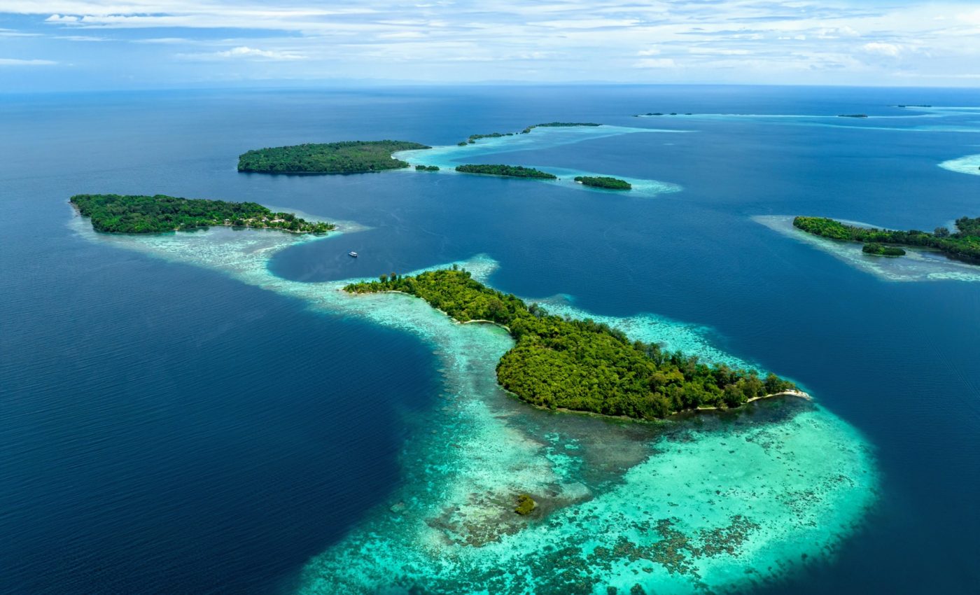 Largest coral in the world found in the Solomon islands