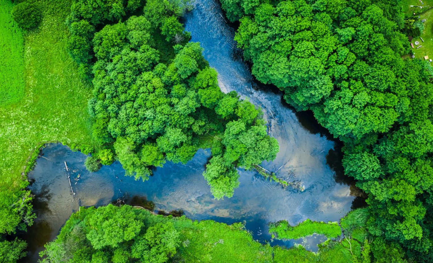 Microbes play a big role in shaping the health of rivers