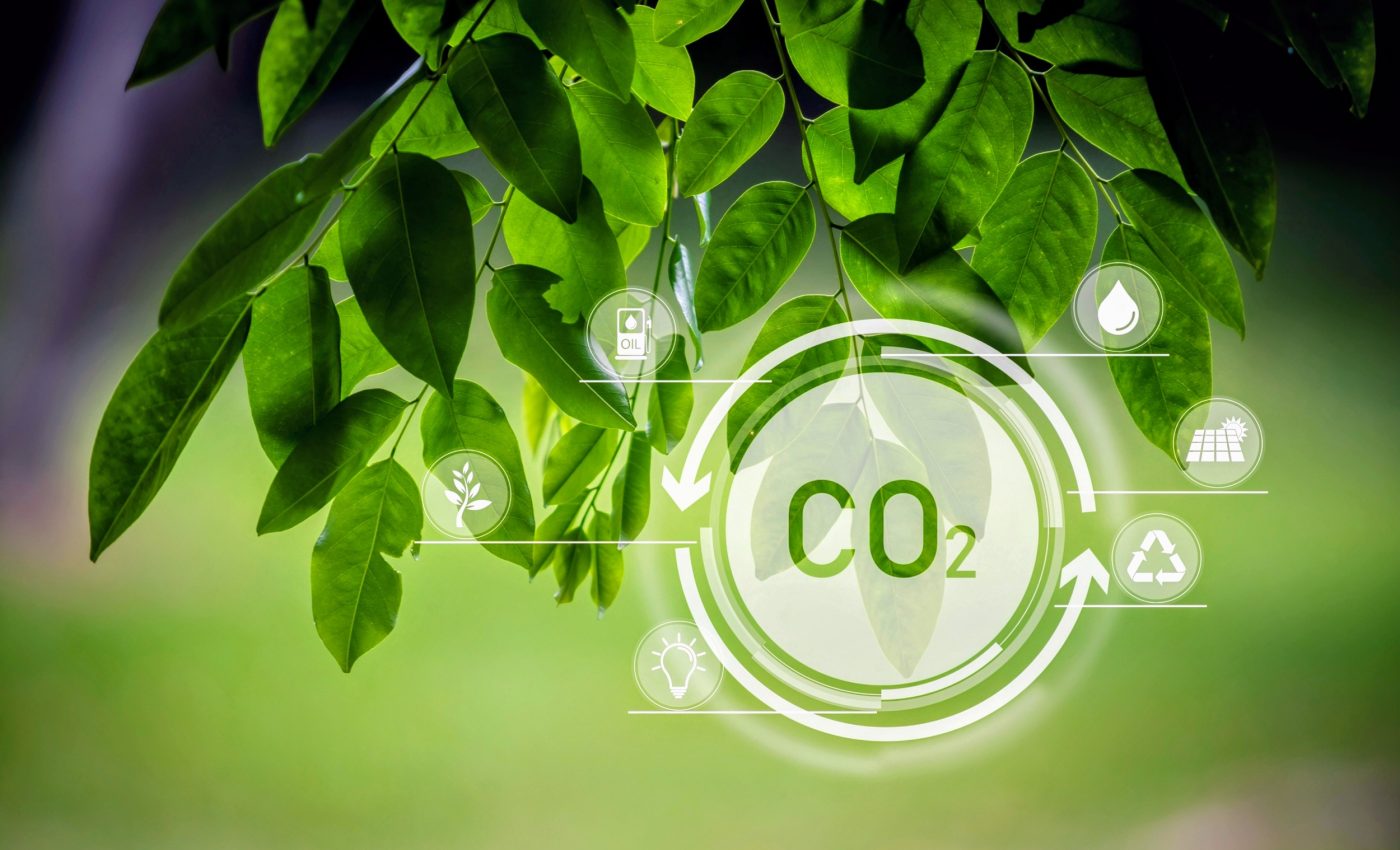 CO2 is actually good for our DNA, even though it's wreaking havoc on Earth's climate