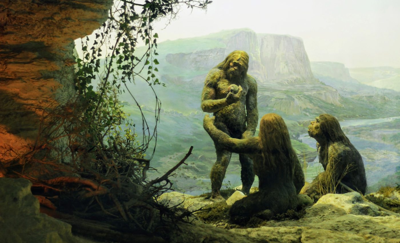 How Neanderthals mastered the art of creating and using tape and glue