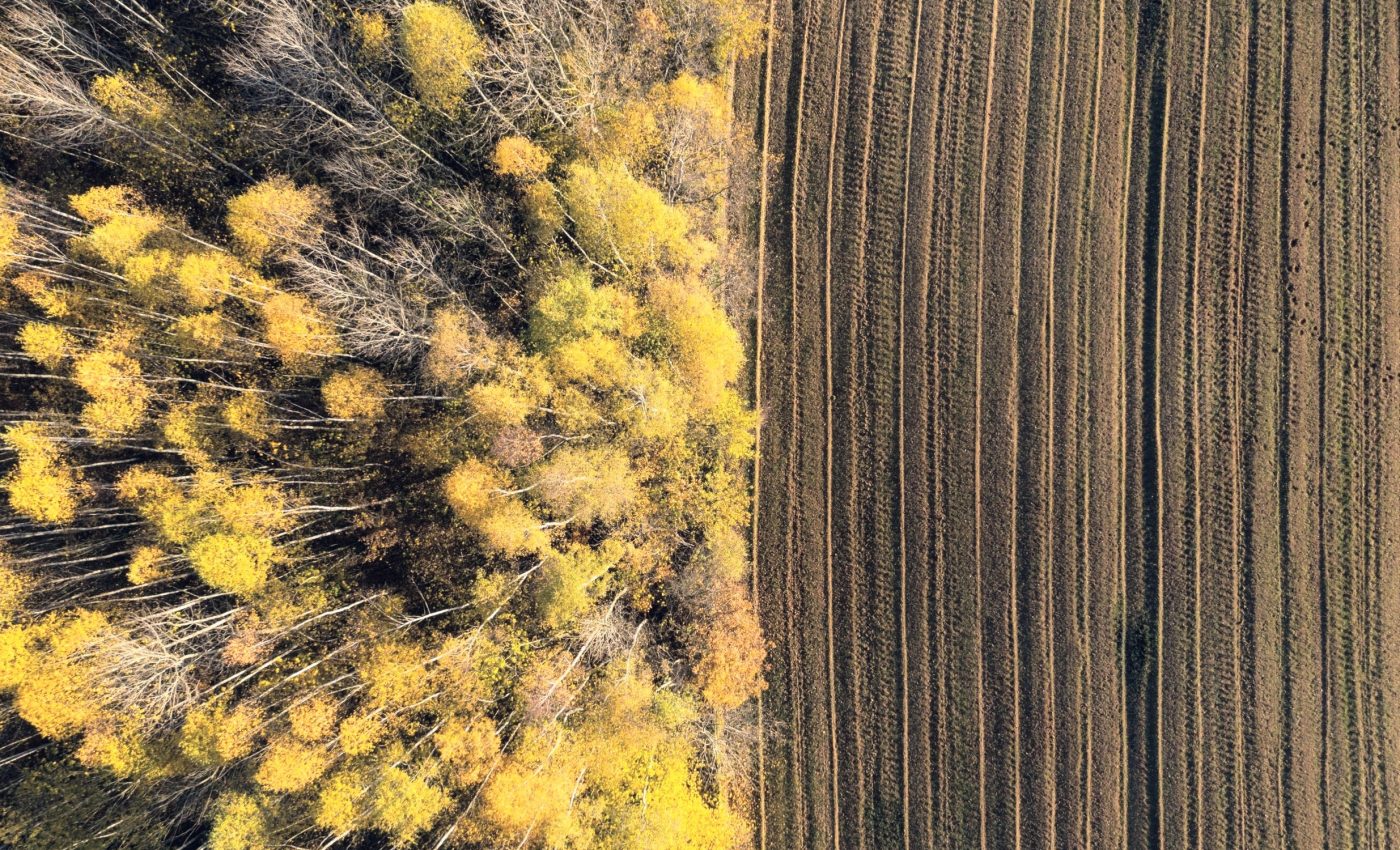 Land degradation severely threatens planetary boundaries