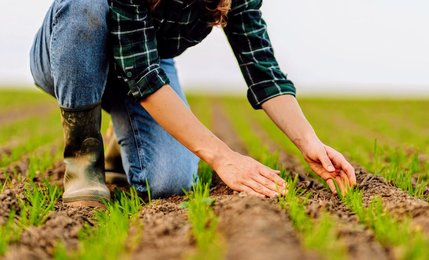 Transformative action needed to feed the world in a warmer climate