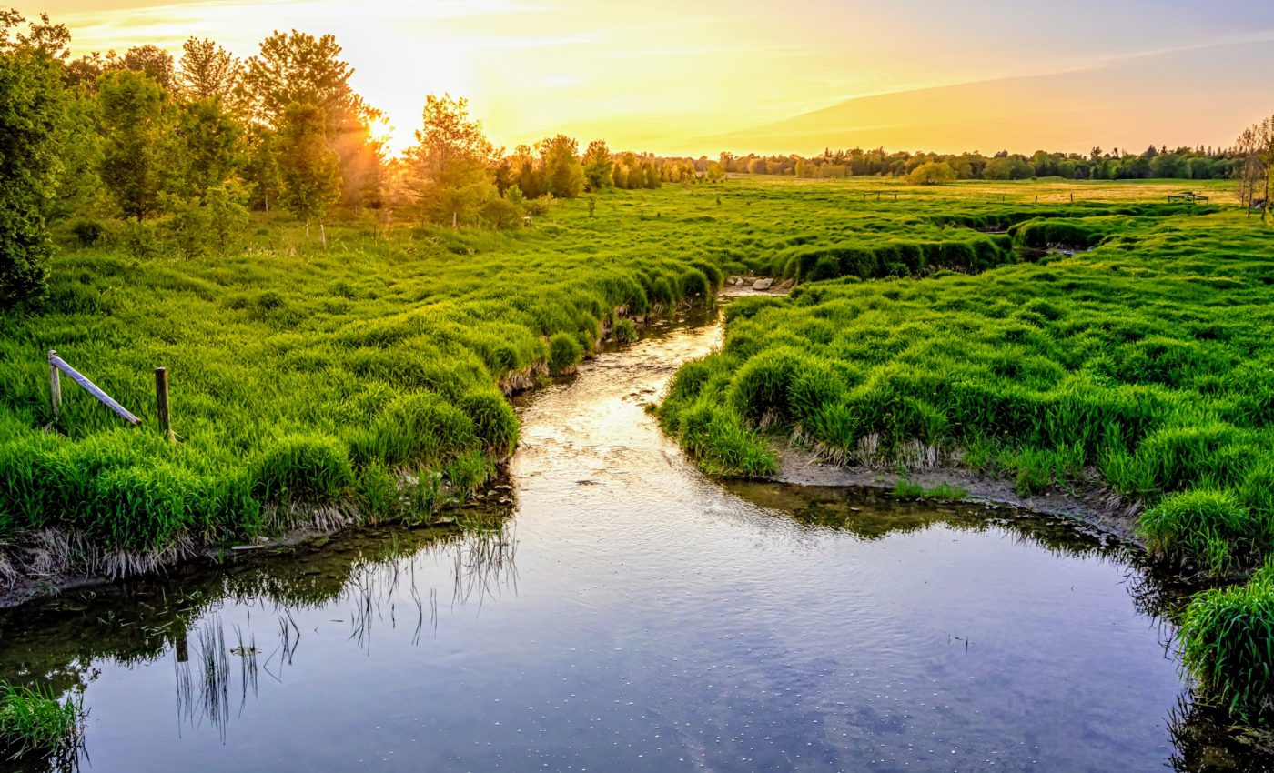Streams near farms are 'fizzy' with nitrous oxide
