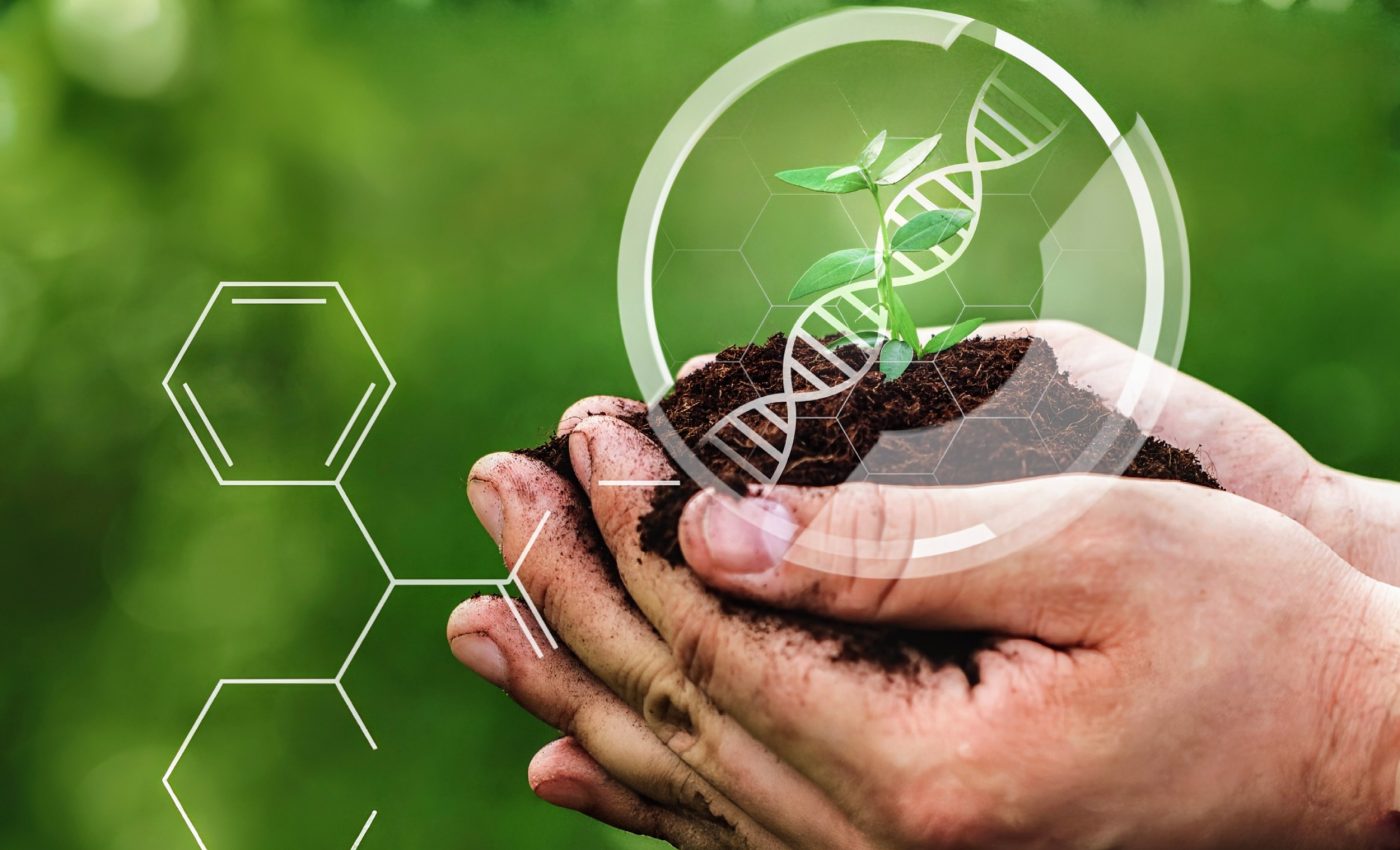 Creating resilient crops to cope with the climate crisis